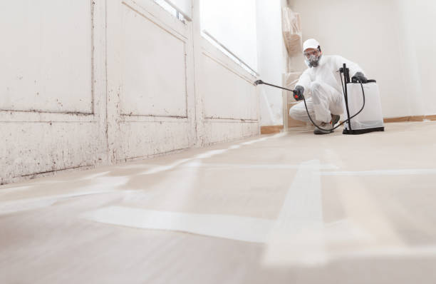 24/7 Emergency Mold Remediation experts in Canton, NC